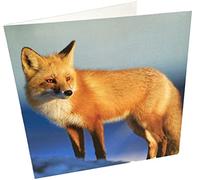 Maturi Fox Square - Tarjeta de felicitación de cumpleaños en blanco