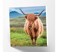 Maturi Highland Cow - Tarjeta de felicitación de cumpleaños fotográfica en blanco, 15,5 x 15,5 cm