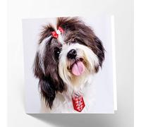 Maturi Shih Tzu - Tarjeta fotográfica de felicitación de cumpleaños con diseño de perro en blanco, 15,5 x 15,5 cm