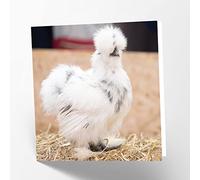 Maturi Silkie - Tarjeta de felicitación de cumpleaños (15,5 x 15,5 cm), diseño de pollo