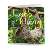 Maturi Tarjeta de felicitación de cumpleaños con texto en inglés Lets Hang (15,5 x 15,5 cm), diseño de perezoso