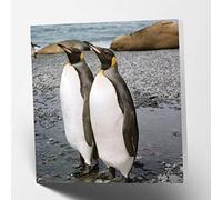 Maturi Tarjeta de felicitación de cumpleaños cuadrada con diseño de pareja de pingüinos