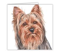 Maturi Tarjeta de felicitación en blanco con acuarela, diseño de perro Yorkshire Terrier, multicolor 441032
