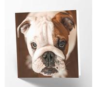 Maturi Tarjeta de felicitación en blanco con imagen de bulldog británico