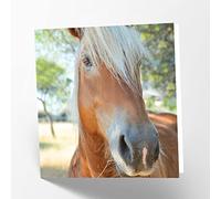 Maturi Tarjeta de felicitación en blanco con imagen de caballo Palomino