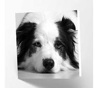 Maturi Tarjeta de felicitación en blanco con imagen de perro Border Collie