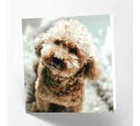 Maturi Tarjeta de felicitación en blanco con imagen de perro Cockapoo