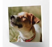 Maturi Tarjeta de felicitación en blanco con imagen de perro Jack Russell