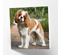 Maturi Tarjeta de felicitación en blanco con imagen de perro King Charles