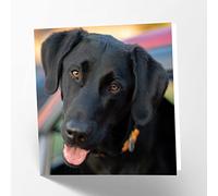 Maturi Tarjeta de felicitación en blanco con imagen de perro labrador negro