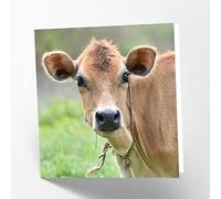 Maturi Tarjeta de felicitación en blanco con imagen de vaca frisona