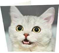 Maturi Tarjeta fotográfica de felicitación de cumpleaños con diseño de gato blanco, 15,5 x 15,5 cm