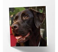 Maturi Tarjeta fotográfica de felicitación de cumpleaños con diseño de perro labrador de chocolate, 15,5 x 15,5 cm