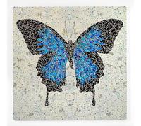 Matvsd Kohecs Mariposa azul de Damien Hirst Pintura en lienzo Arte abstracto en la pared Grabado de Damien Hirst y póster para decoración de baño 40x40cm Sin marco
