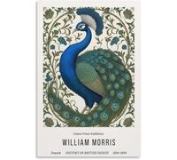 Matvsd Kohecs Póster de William Morris Arte mural de pavo real Pintura de lienzo floral de William Morris Grabados abstractos Imagen estética para decoración del hogar 30x45cm Sin marco