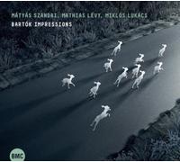 Matyas Szandai, Mathias Levy & Miklos Luk Bartók Impressi (CD) (Importación USA)