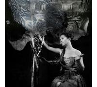 Maud The Moth - The Distaff