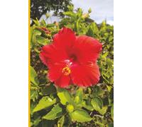 Maui Hibiscus - Hawaii (Red): Journal | Diary | Notebook | Logbook | Composition Book | 6x9 Inches | 100 Pages