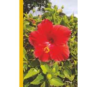 Maui Hibiscus - Hawaii (Red): Journal | Diary | Notebook | Logbook | Composition Book | 6x9 Inches | 100 Pages