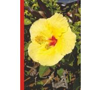 Maui Hibiscus - Hawaii (Yellow): Journal | Diary | Notebook | Logbook | Composition Book | 6x9 Inches | 100 Pages