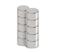 MAUL Imanes neodimio redondos plata 10 uds 2.4 kg