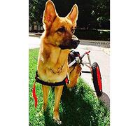 MAVERYGFF Silla de Ruedas para Perros Grande, Ajustable, de 2 Ruedas, Tallas L, XL, rehabilitación de Patas traseras, Adecuada para 22-45 kg