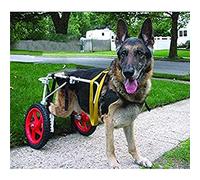 MAVERYGFF Silla de Ruedas para Perros Grande y Ligera, Silla de Ruedas para Perros de rehabilitación, 2 Ruedas Ajustables, fácil de Instalar, 22-45 kg (L, XL)