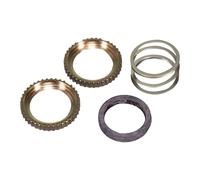 Mavic ID 360 - Kit di cricchetti per bicicletta, molla/grasso - LV2251700