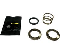 Mavic Kit de Carracas para rueda libre ID360 para MTB 40 dientes gris