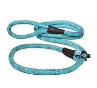 Max and Neo Cuerda antideslizante de plomo reflectante de 5 pies - Donamos una correa a un perro de rescate para cada correa vendida (5 pies x 1/3 pulgadas perro pequeño, verde azulado)