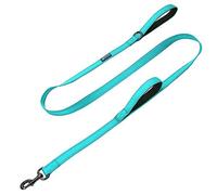 MAX and Neo Double Handle Traffic Dog Leash - Reflective, Donates to Dog Rescue (Teal, 6 FT)