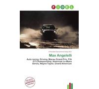 Max Angelelli: Auto racing, Driving, Macau Grand Prix, FIA GT Championship, American Le Mans Series, Wayne Taylor, Grand American
