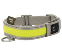 MAX & MILA'S WORLD Collar LED para perros / Tubo luminoso LED para perros (Collar para perros, M)