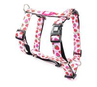MAX & Molly Arnés para Perros en Forma de H, Ultracómodo Arnés Perro de Neopreno para Perros Medianos Strawberry Dream/M, Acolchado, Seguro y Ultraligero - Comodidad para tu Fiel compañero