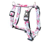 MAX & Molly Arnés para Perros en Forma de H, ultracómodo, de Neopreno, para Perros pequeños, Cherry Bloom/S, Acolchado, Seguro y Ultraligero, Comodidad para tu Fiel compañero