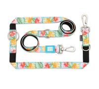 MAX & Molly Correa multifunción para Perros, 2 m, con 2 mosquetones, Correa para el Cuello Exotique/L Acolchada, Segura y Flexible - Comodidad para tu Fiel compañero