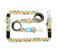 MAX & Molly Correa multifunción para Perros, 2 m, con 2 mosquetones, Sweet Pineapple/XS, Correa Acolchada, Segura y Flexible - Comodidad para tu Fiel compañero