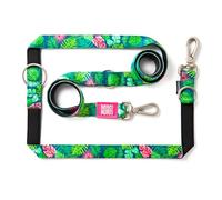 MAX & Molly Correa multifunción para Perros de 2 m con 2 mosquetones, Correa de Cuello Tropical/L Acolchada, Segura y Flexible, Comodidad para tu Fiel compañero