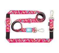 MAX & Molly Correa multifunción para Perros de 2 m con 2 mosquetones, Correa mágica/XS Acolchada, Segura y Flexible, Comodidad para tu Fiel compañero