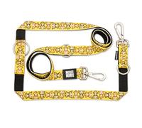 MAX & Molly Correa multifunción para Perros de 2 m con 2 mosquetones, Mono Maniac/M Correa Acolchada, Segura y Flexible - Comodidad para tu Fiel compañero