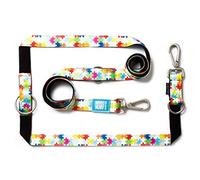 MAX & Molly Correa para Perro multifunción 6 en 1 Manos Libres, Neopreno Acolchado ultrasuave, Rompecabezas S