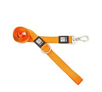 Max & Molly Pure Orange Colorido | Diseño único | Cómodo | Seguro | Neopreno Acolchado | Deportivo y Elegante | Correas Cortas, L