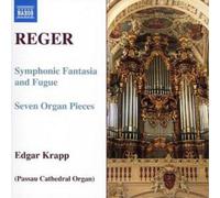Max Reger Reger: Symphonie Fantasia and Fugue - Volume 7 (CD) (Importación USA)