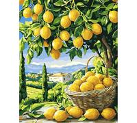 MAXBYE Dipingi con i Numeri per Adulti, Limone Paint by Numbers Kit di Pittura a Olio su Tela, Fai-da-Te con Pennelli Pittura Pigmento Acrilico Disegno, Decorazioni Casa Regalo 40x50cm