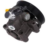 MAXGEAR Bomba Hidráulica Hidráulico para Ford Foco Familiar Dnw Grajilla Dbw Dfw