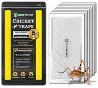 MaxGuard Trampas Extra Grandes para críquet (8 trampas) | Tablero de Pegamento Extra pegajoso no tóxico pre-cebado para atrapar y Matar grillos de casa, Insectos, arañas, Insectos