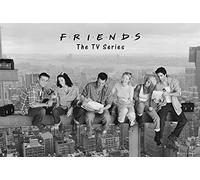 Maxi póster Friends - Lunch On A Skyscraper Póster (91 x 61cm) | Póster decorativo para sala de estar o dormitorio decorativo - Tamaño 61 x 91 - Licencia Oficial