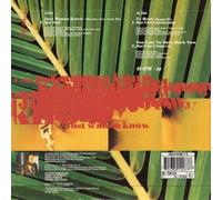 Maxi Priest - Just Wanna Know / Fe Real 7" (UK 1992)