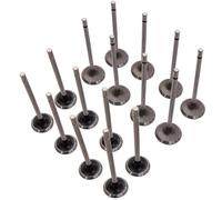 maXpeedingrods 16PCS Motors Válvula de entrada y válvula de salida para Renault 1,4 1,6 16V Clio Kangoo Laguna Megane, 13201-00QAA 13202-00QAA 7701471378 7701471379 7701471354 7701473354 355 7