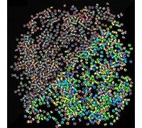 Maxtonser 660 cuentas luminosas que brillan en la oscuridad, cuentas UV que cambian de color, reactivas para cuentas de pony, cuentas acrílicas brillantes para Bracel